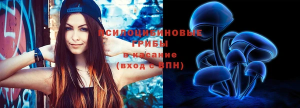 дурь Зеленокумск