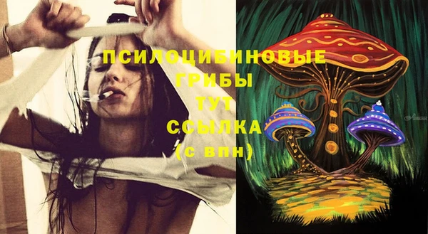 mdpv Зерноград