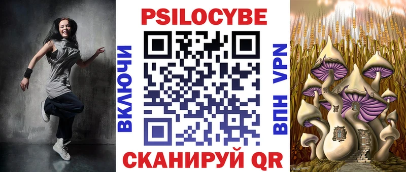 Псилоцибиновые грибы ЛСД  hydra сайт  Рошаль 